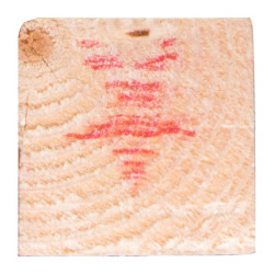 Chevron Sapin Raboté 270cm – Bois de Charpente et construction