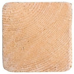 Chevron sapin raboté 180cm – Bois de construction solide
 Chevron sapin raboté 180cm – Bois de construction solide