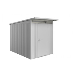 Abri de jardin métal AvantGarde BIOHORT argenté 1,8x3m | BIOHORT