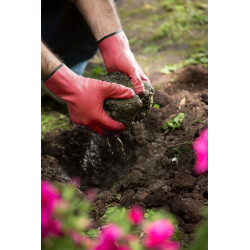 Gants Nitrile Maxima Taille 8 – Protection Robuste | ROSTAING