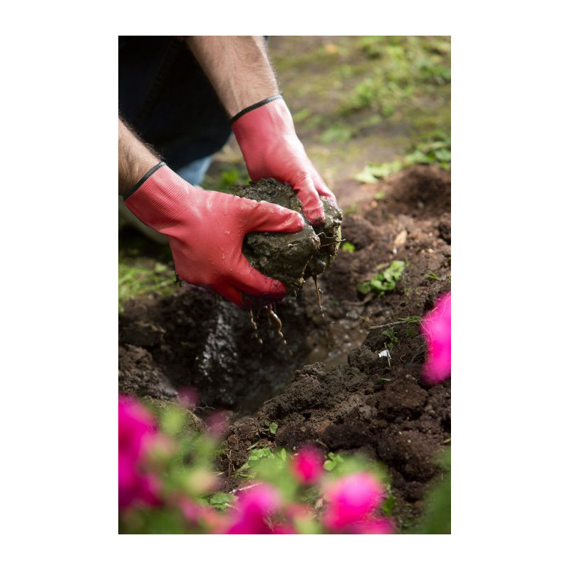 Gants Nitrile Maxima Taille 8 – Protection Robuste | ROSTAING