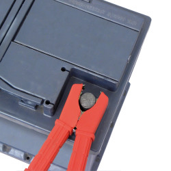 Pince de batterie 100A CARPOINT – Connexion Fiable | CARPOINT

