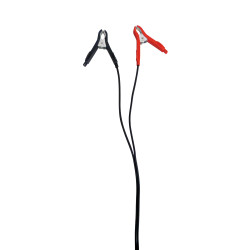 Chargeur de batterie automatique 12 V CARPOINT