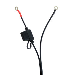 Chargeur de batterie automatique 12 V CARPOINT