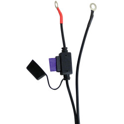 Chargeur de batterie automatique 12 V CARPOINT