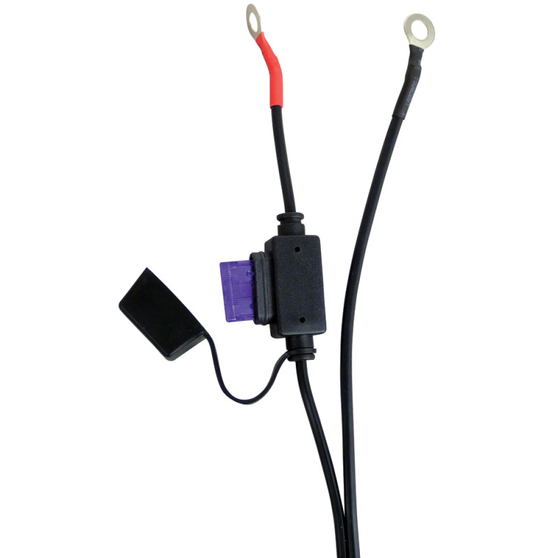 Chargeur de batterie automatique 12 V CARPOINT