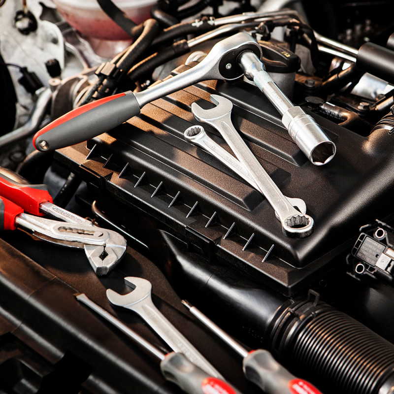 Paire de gants en nitrile taille 10