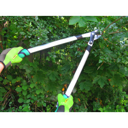 Coupe branche Bypass en aluminium Ø 30 mm MEISTER