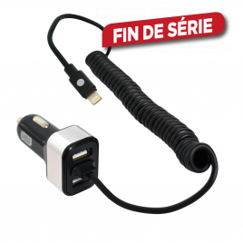 Chargeur USB pour voiture 2 prises 5,8 A CARPOINT
