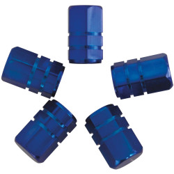 Caches de valve pour pneu de voiture 5 pièces Caches de valve pour pneu de voiture 5 pièces