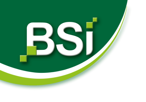 BSI - Souriciere Electrique - Piège a Souris & Rats Électrique - Tue  Immédiatement