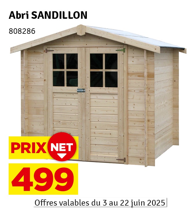 Abri de jardin en bois Sandillon 19 mm 2,1 x 2,1 m DÉCOR ET JARDIN
