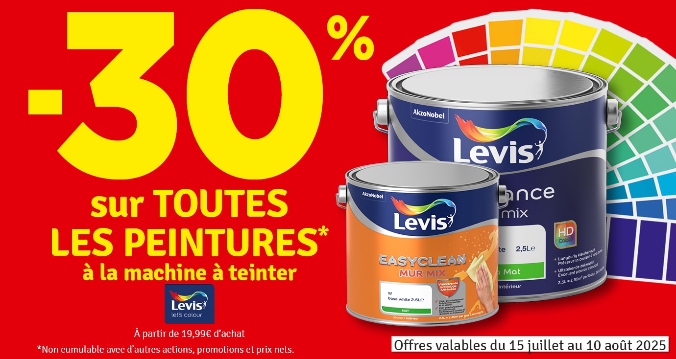30 % sur toutes les peintures à la machine à teinter