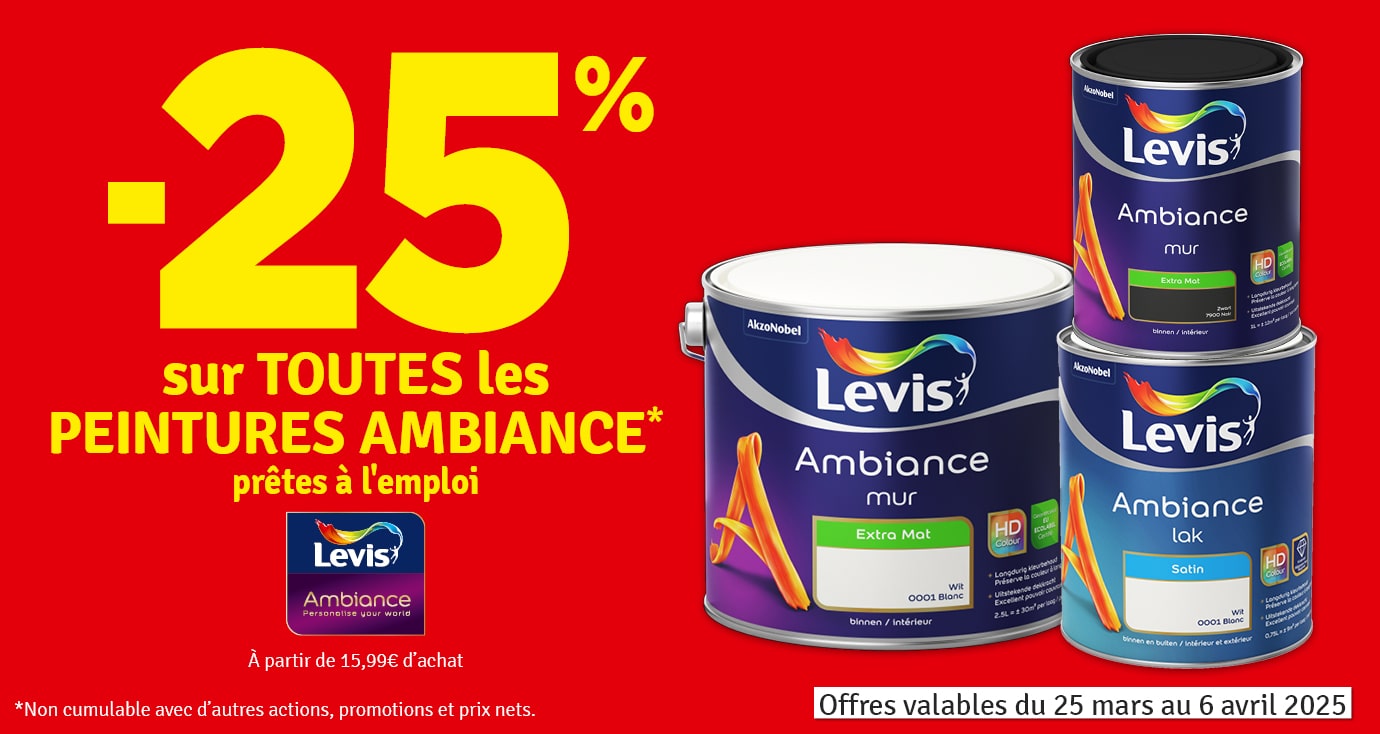 25 % sur toutes les peintures Ambiance LEVIS