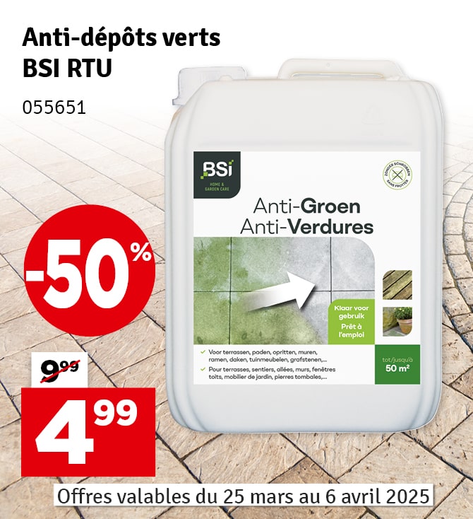 Anti-dépôts verts 5 L BSI