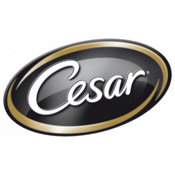 CESAR