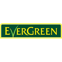 EVERGREEN