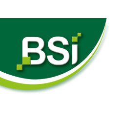 BSI