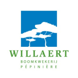 WILLAERT