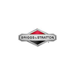BRIGGS AND STRATTON