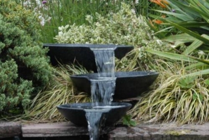 Une piscine naturelle dans le jardin