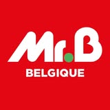 Mr Bricolage logo
